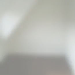 Foto #3 Kamer Jan Lievensstraat Leeuwarden