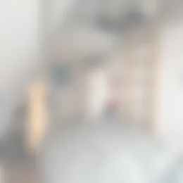 Kamer Foto #0 te huur bij Huurstunt