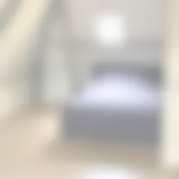 Foto #1 Kamer Westzijde Zaandam
