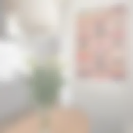 Appartement Foto #0 te huur bij Huurstunt