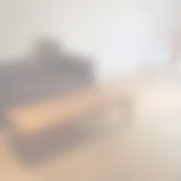 Foto #1 Kamer Zijkanaal F Oost Halfweg