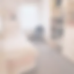 Kamer Foto #0 te huur bij Huurstunt