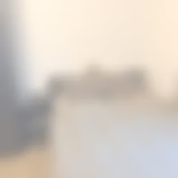 Foto #2 Kamer Statenlaan Den Bosch