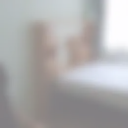 Kamer Foto #0 te huur bij Huurstunt