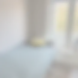Foto #5 Kamer Vreeswijkstraat Den Haag