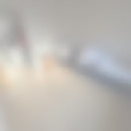 Kamer Foto #0 te huur bij Huurstunt