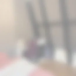 Kamer Foto #0 te huur bij Huurstunt