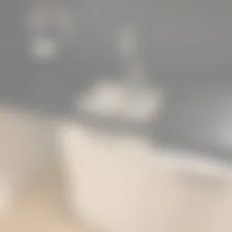 Studio Foto #0 te huur bij Huurstunt