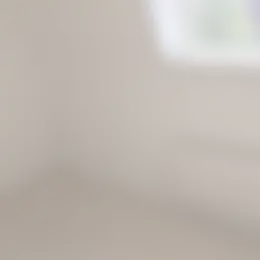 Kamer Foto #0 te huur bij Huurstunt