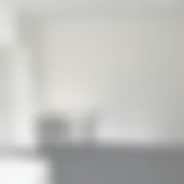 Kamer Foto #0 te huur bij Huurstunt