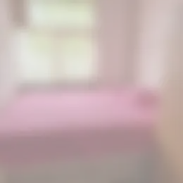 Kamer Foto #0 te huur bij Huurstunt