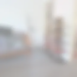 Appartement Foto #0 te huur bij Huurstunt