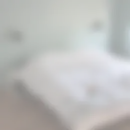 Kamer Foto #0 te huur bij Huurstunt