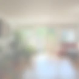 Appartement Foto #0 te huur bij Huurstunt