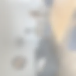 Studio Foto #0 te huur bij Huurstunt