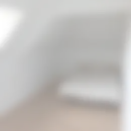 Kamer Foto #0 te huur bij Huurstunt