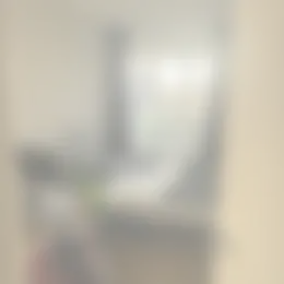 Foto #1 Kamer Ananasweg Leiden