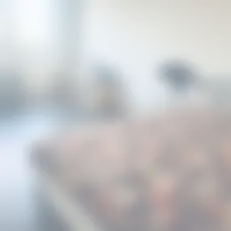 Kamer Foto #0 te huur bij Huurstunt