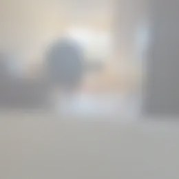 Kamer Foto #0 te huur bij Huurstunt