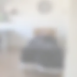 Foto #2 Kamer Dokter van Kleefstraat Maastricht