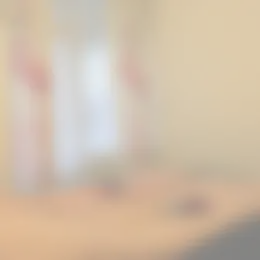 Foto #1 Kamer Haardstee Amsterdam