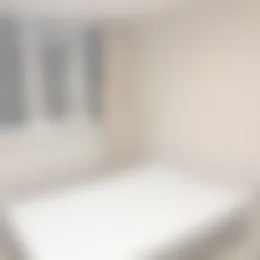 Kamer Foto #0 te huur bij Huurstunt