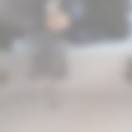 Appartement Foto #0 te huur bij Huurstunt