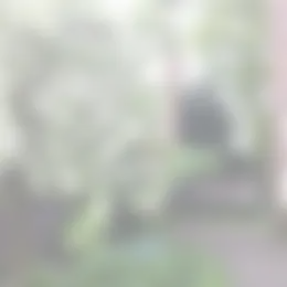Kamer Foto #0 te huur bij Huurstunt