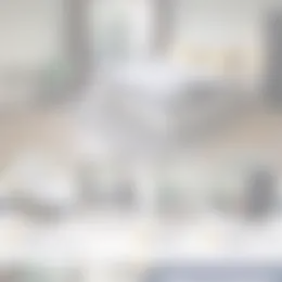 Studio Foto #0 te huur bij Huurstunt