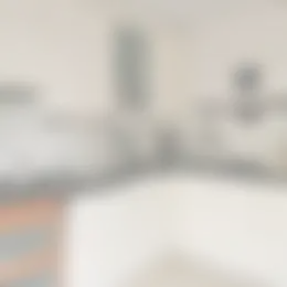 Foto #7 Kamer Dijkwacht Leiderdorp