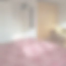 Kamer Foto #0 te huur bij Huurstunt