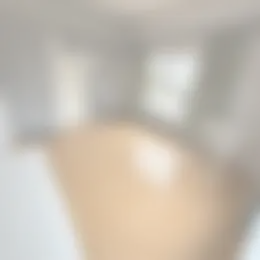 Kamer Foto #0 te huur bij Huurstunt