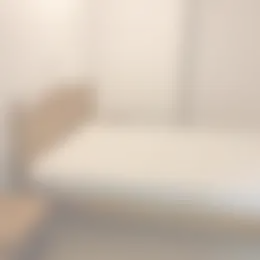 Kamer Foto #0 te huur bij Huurstunt