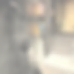 Kamer Foto #0 te huur bij Huurstunt