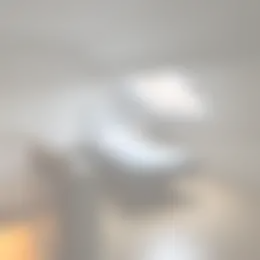 Kamer Foto #0 te huur bij Huurstunt