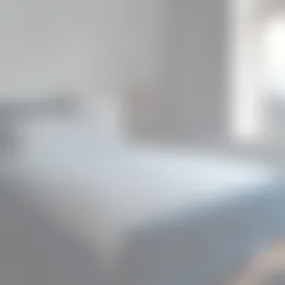 Kamer Foto #0 te huur bij Huurstunt