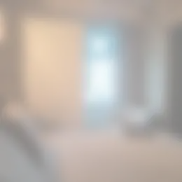 Foto #3 Kamer Ommedijk Schipluiden