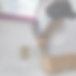 Kamer Foto #0 te huur bij Huurstunt