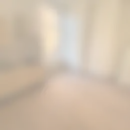 Studio Foto #0 te huur bij Huurstunt