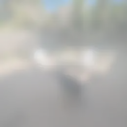 Kamer Foto #0 te huur bij Huurstunt