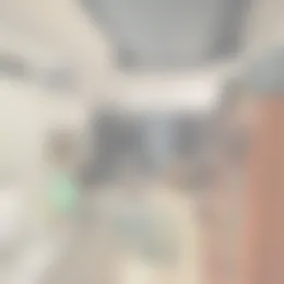 Studio Foto #0 te huur bij Huurstunt