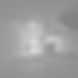 Studio Foto #0 te huur bij Huurstunt