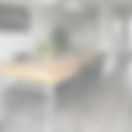 Foto #2 Appartement Suze Groeneweglaan Rotterdam