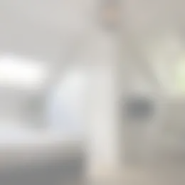Foto #5 Kamer Deilsedijk Deil