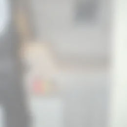 Kamer Foto #0 te huur bij Huurstunt