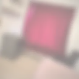 Kamer Foto #0 te huur bij Huurstunt