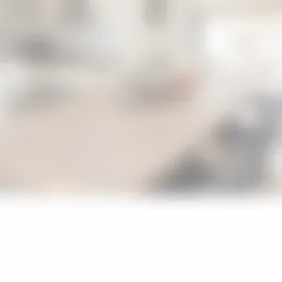 Kamer Foto #0 te huur bij Huurstunt