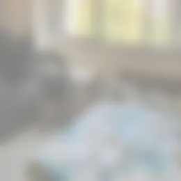 Kamer Foto #0 te huur bij Huurstunt