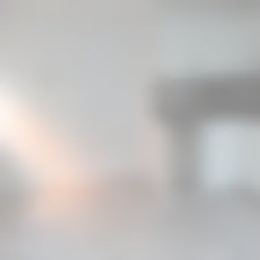 Kamer Foto #0 te huur bij Huurstunt