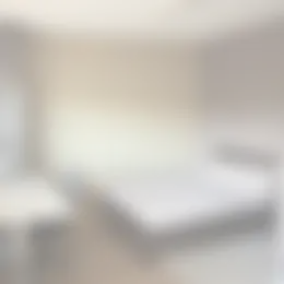 Kamer Foto #0 te huur bij Huurstunt